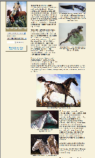 shannon ford artist magazine article 